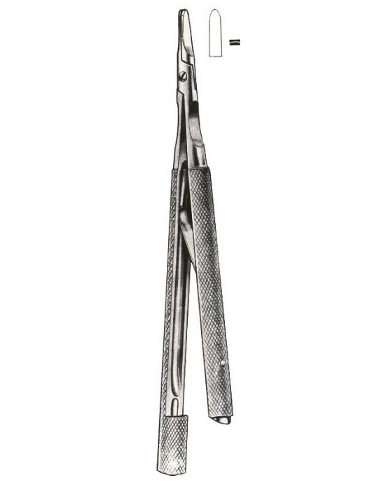 DS- 01-1037-13