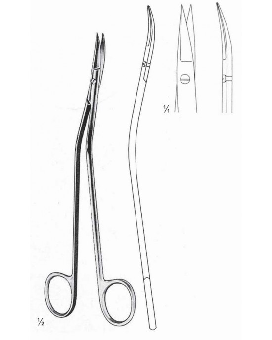 DS- 04-1367-17