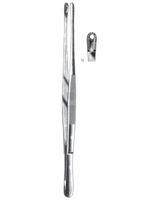 DS- 08-2113-25