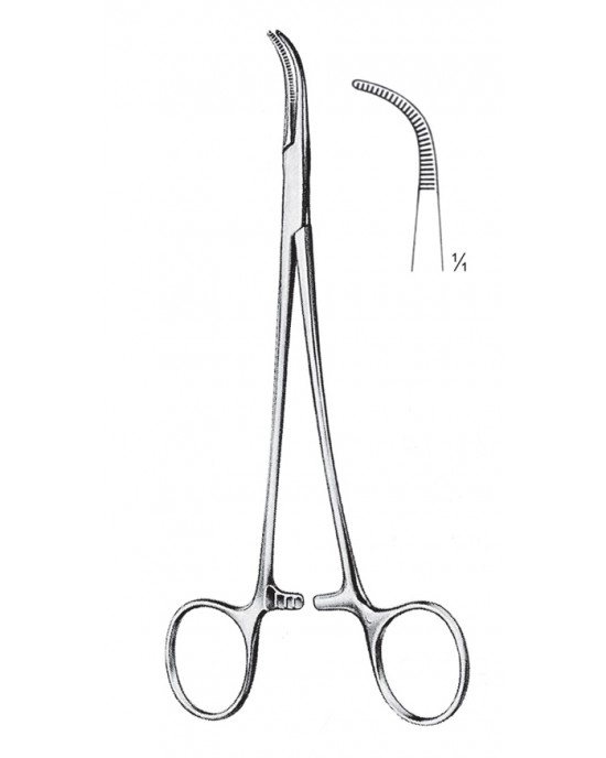 DS- 11-2579-13