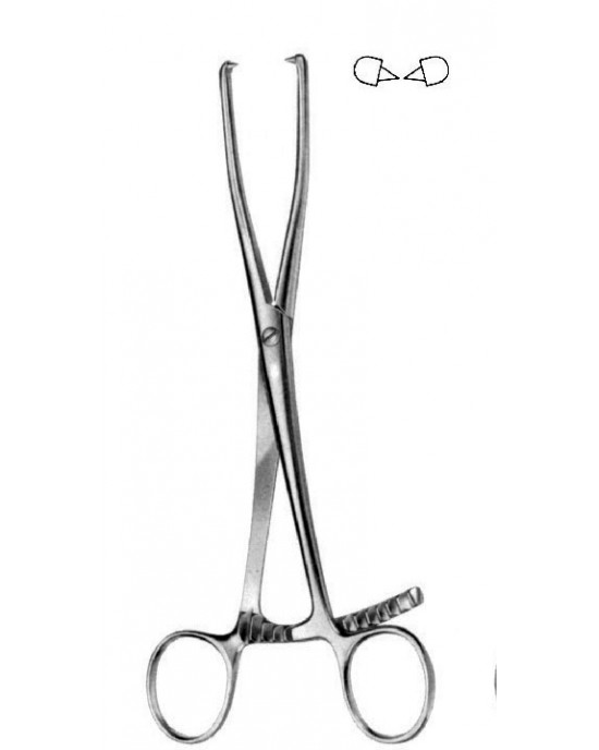 DS- 14-3512-21