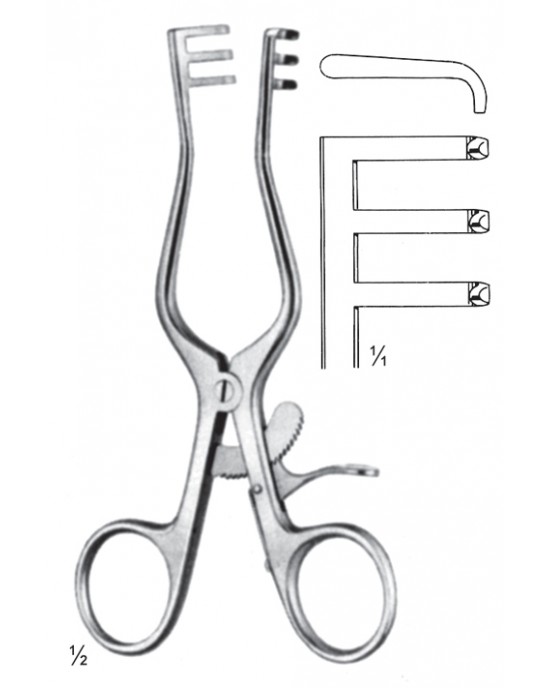 DS- 16-4619-13