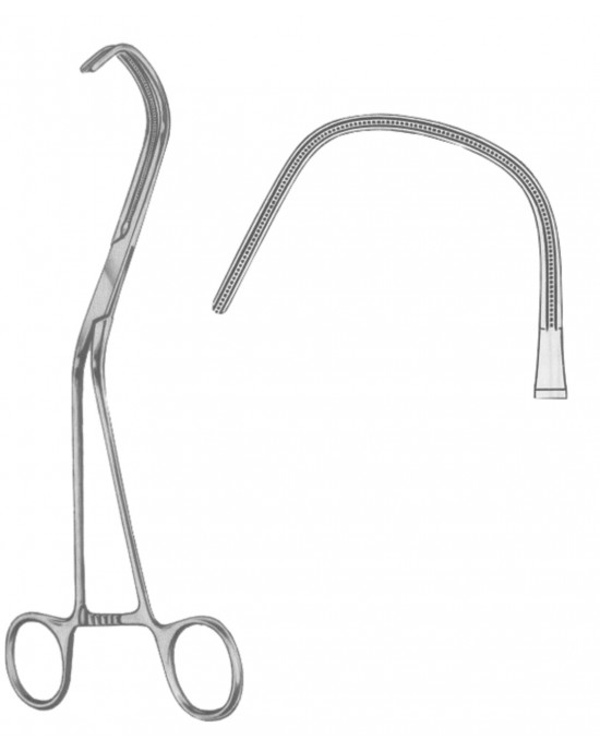 DS- 19-5572-21