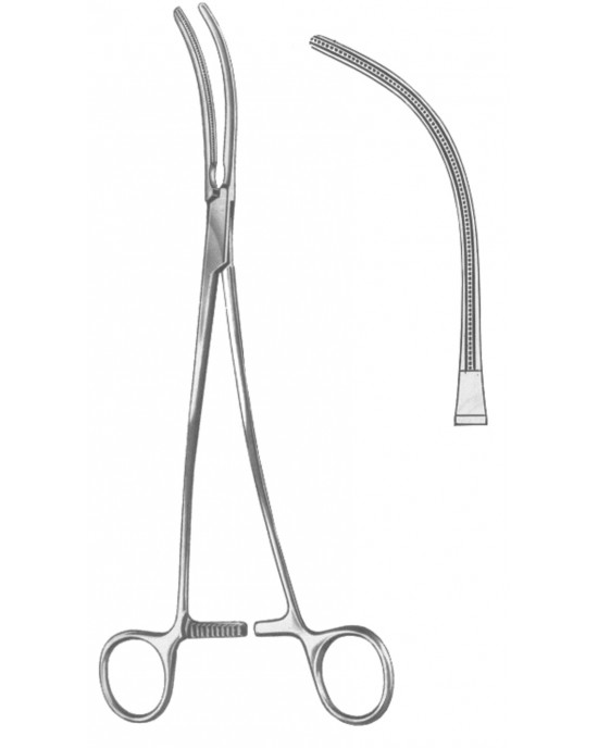 DS- 19-5579-24