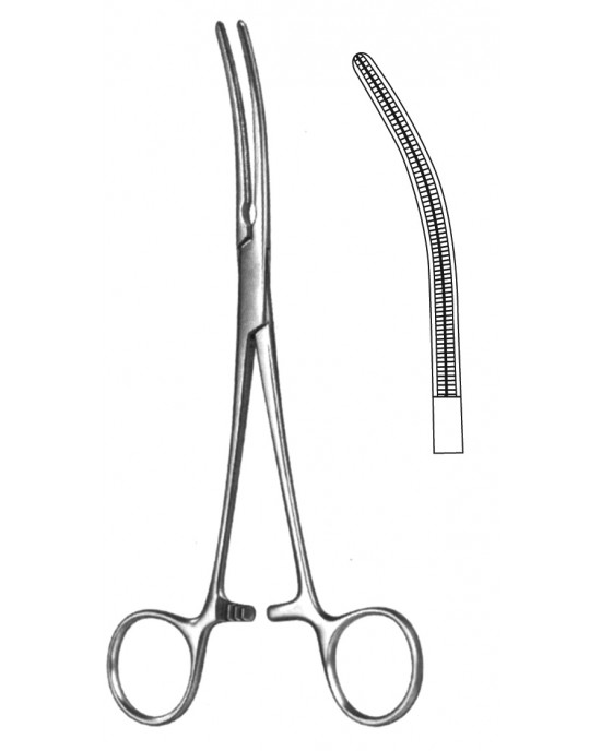 DS- 19-5580-16