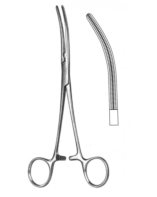 DS- 19-5580-18