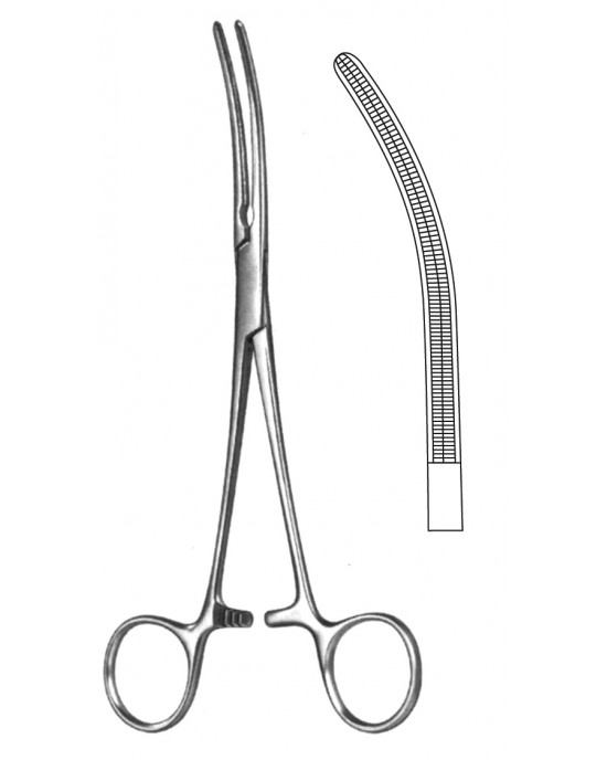 DS- 19-5580-20