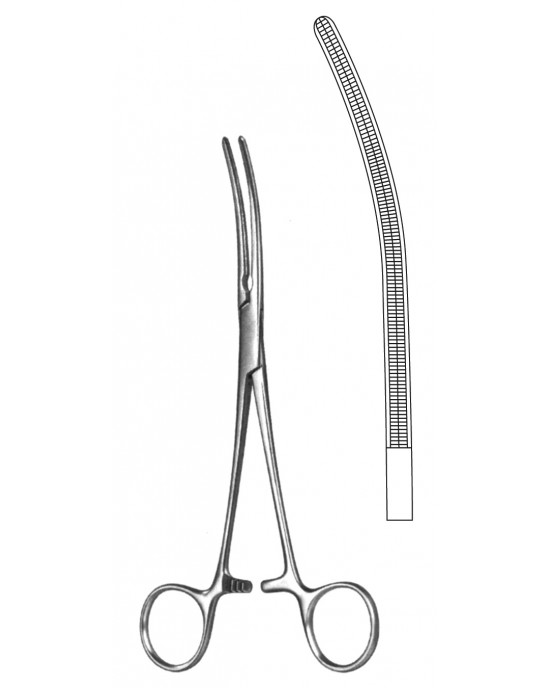 DS- 19-5580-28