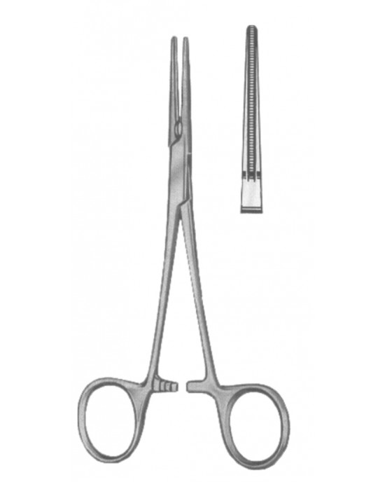 DS- 19-5581-16