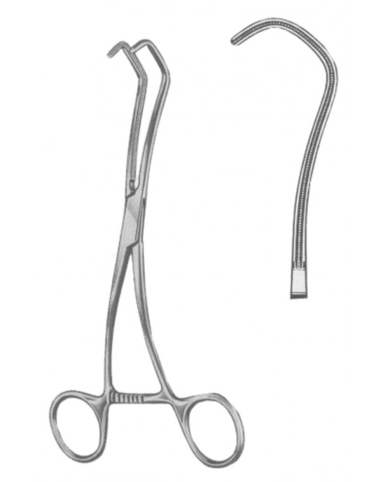 DS- 19-5589-17