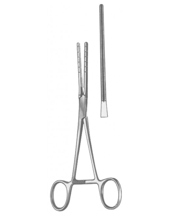 DS- 19-5591-17