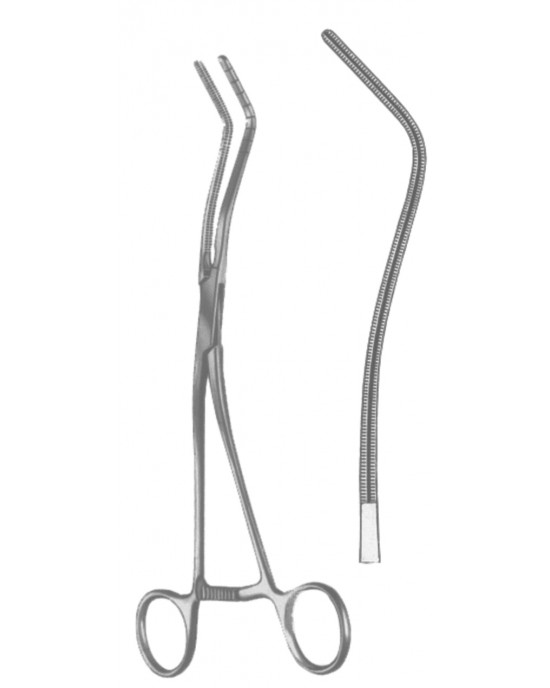 DS- 19-5595-20