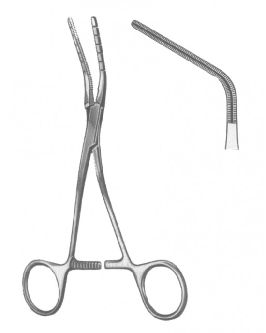 DS- 19-5596-02