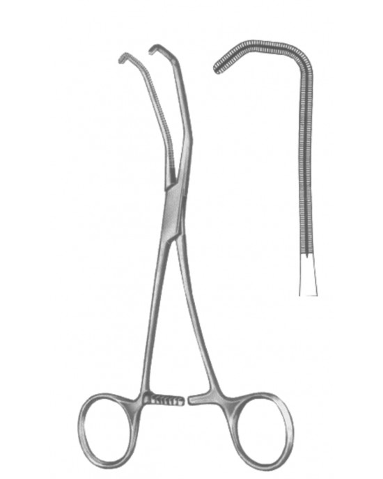 DS- 19-5599-17