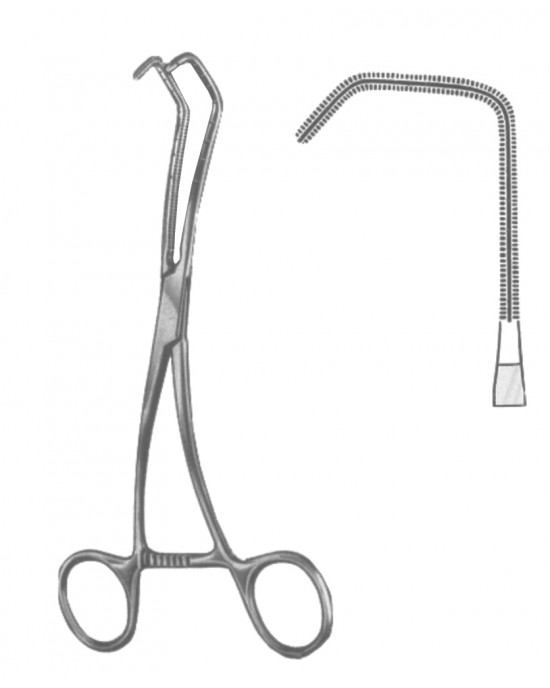 DS- 19-5600-01