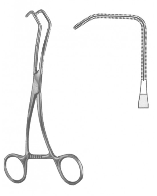 DS- 19-5600-02