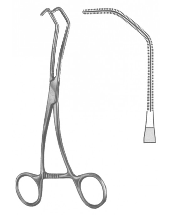 DS- 19-5600-03