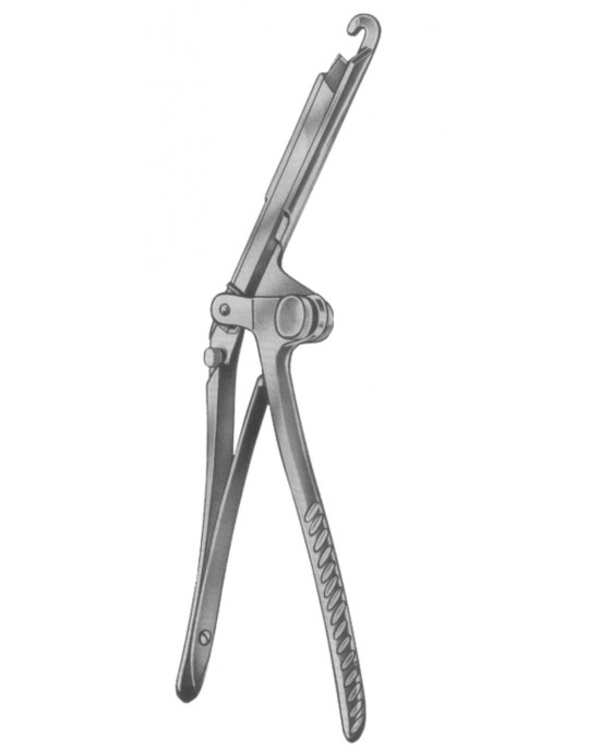 DS- 19-5624-36