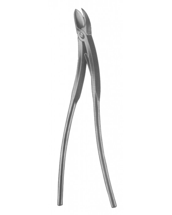 DS- 19-5625-34