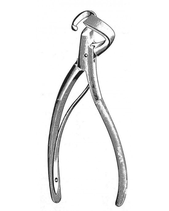 DS- 19-5630-19