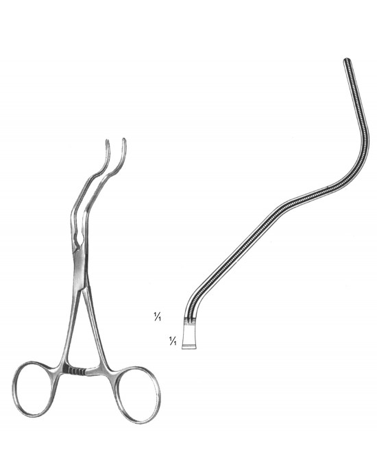 DS- 19-5754-18