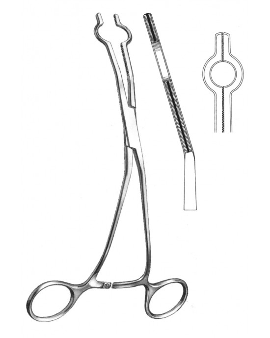 DS- 19-5765-01