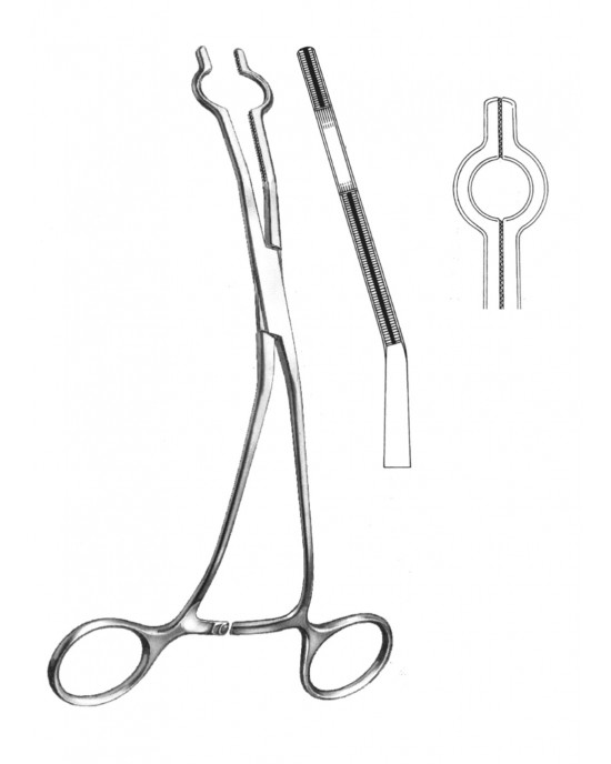 DS- 19-5765-02