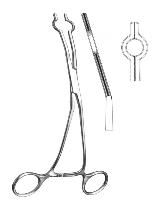 DS- 19-5765-03
