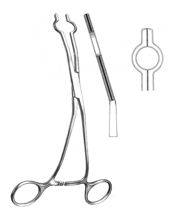 DS- 19-5765-06