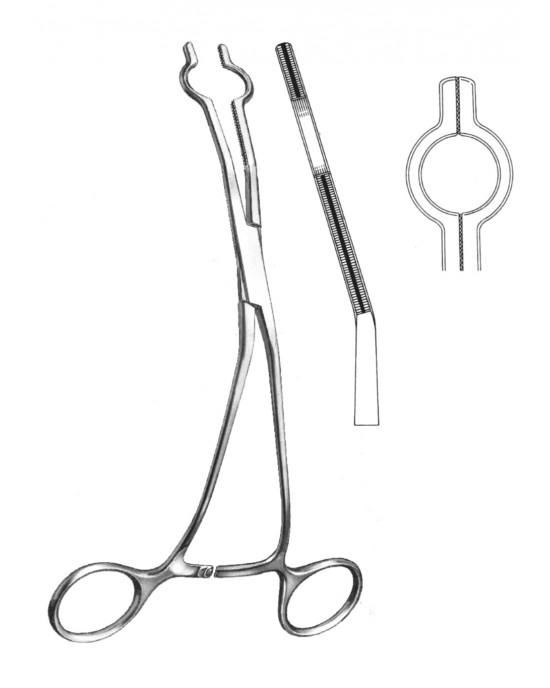 DS- 19-5765-07