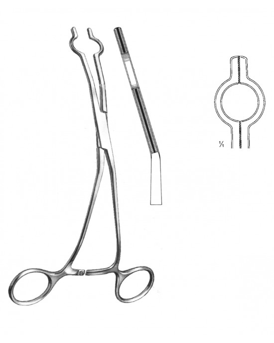 DS- 19-5765-08
