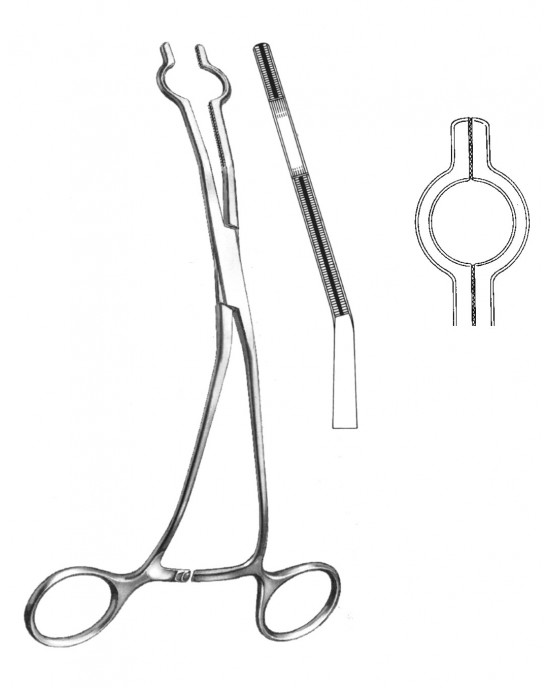 DS- 19-5765-09