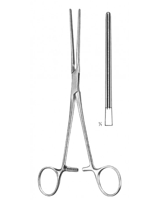 DS- 19-5766-22
