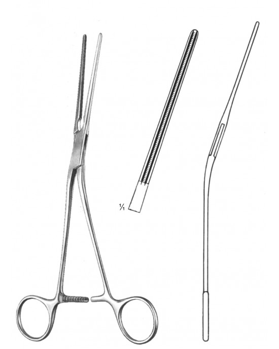 DS- 19-5768-22