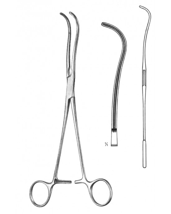 DS- 19-5771-19
