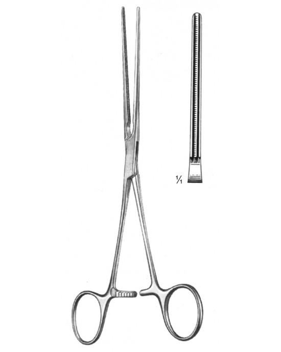 DS- 19-5778-15