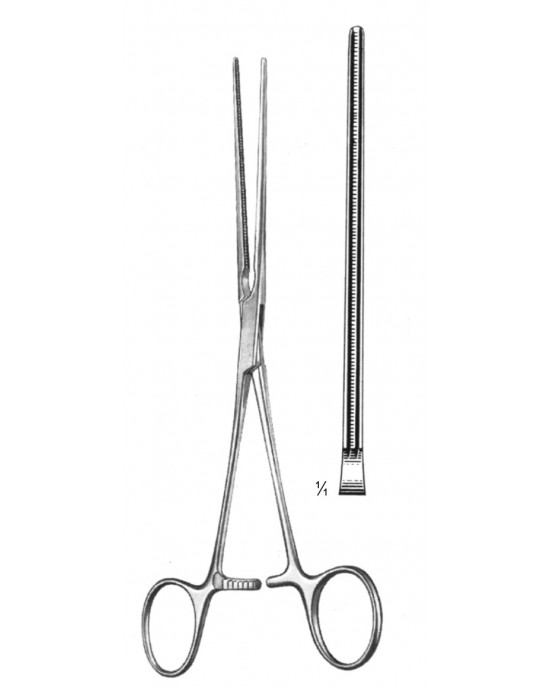DS- 19-5778-18