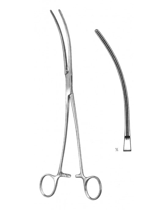 DS- 19-5781-26