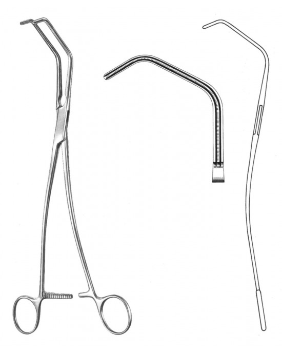 DS- 19-5794-02