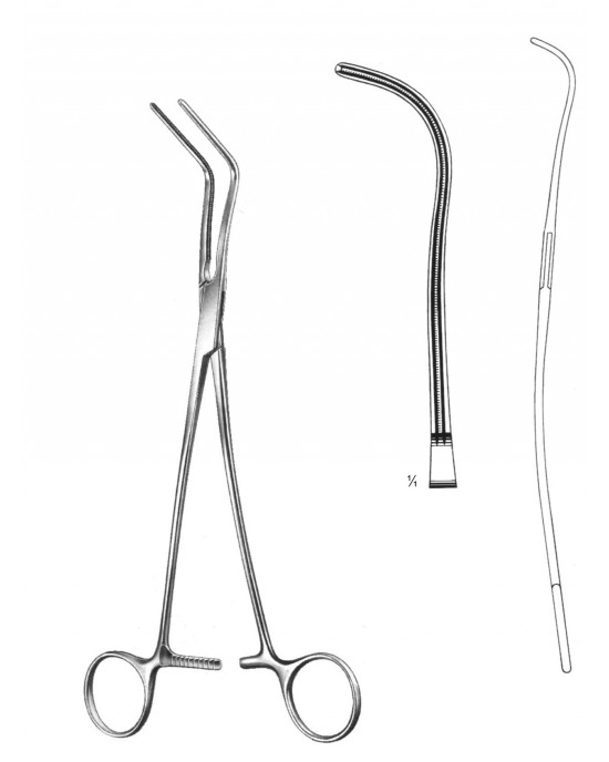 DS- 19-5795-01