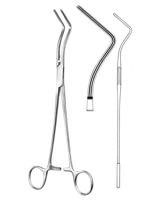 DS- 19-5798-23