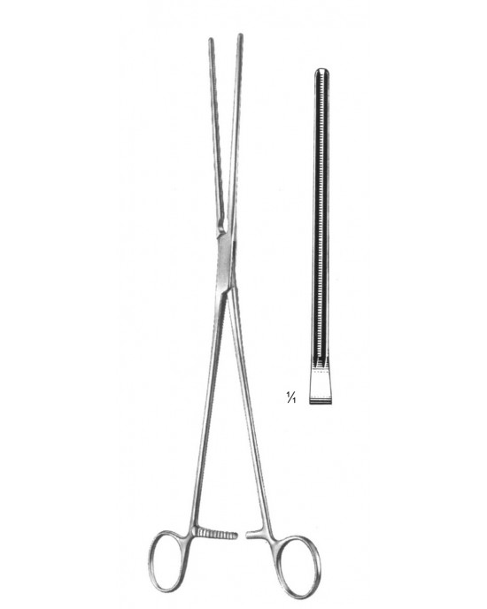 DS- 19-5803-21