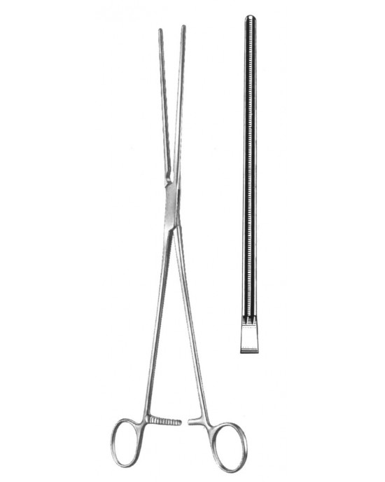 DS- 19-5803-23