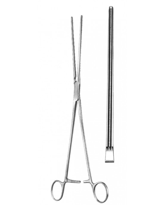 DS- 19-5803-27
