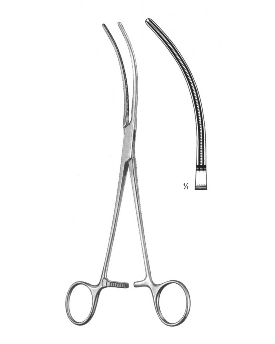 DS- 19-5804-21