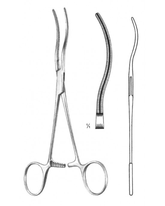 DS- 19-5833-17
