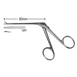 DS- 21-6386-01