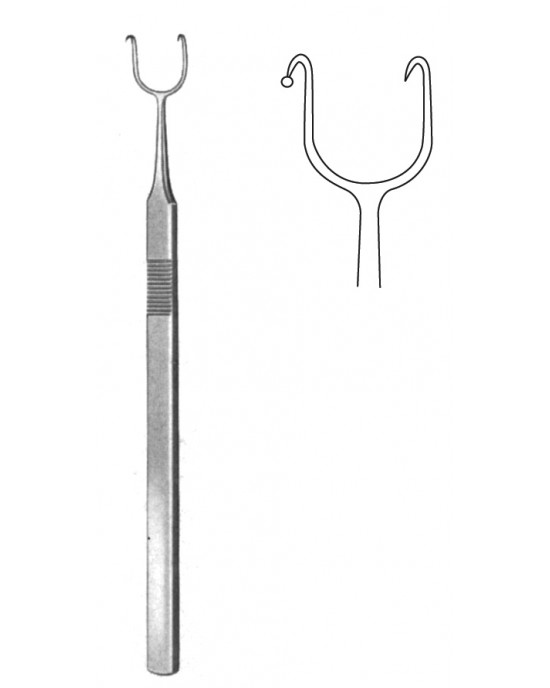 DS- 22-6775-01