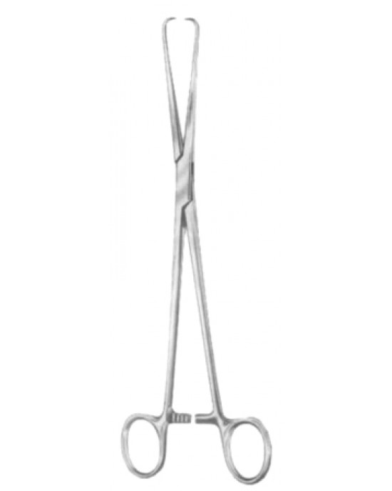DS- 29-8161-25