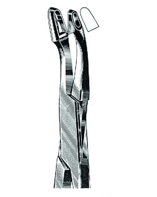 DS- 29-8204-02
